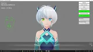 How to use VseeFace in Video app Zoom, Discord