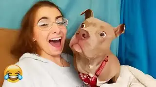The best funny animal videos to lift your spirits! 🐈 You'll laugh! 😺 🤐 Funniest Animals 2025