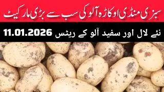 Potato mandi rate okara mandi today potato price vegetable market okara today potato rate 11.01.2026