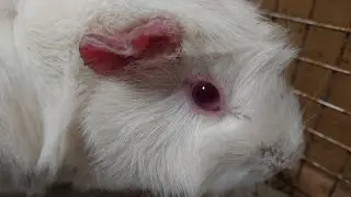 吃晚餐