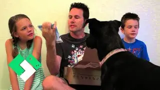 BARKBOX UNBOXING JULY 2014 | Clintus.tv