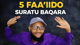 5FAAIDO AY LEDAHAY SURATU BAQARA   BARAKO+LACAG+ GUUR+ SHAQO+FARXAD+GUUL+GUUR