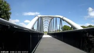 Peacocks Road Through Path