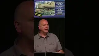 Dinosaurs on #NoahsArk #ccyubacity #shorts #short #shortvideo #bible #god #jesus #church #genesis