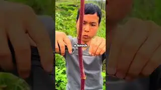 People Who Have 