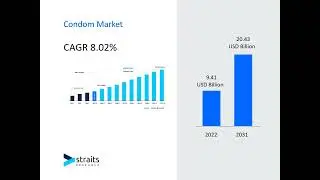 Condom Market Insights: Report Segmentation and Growth Opportunities by 2031