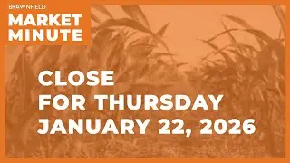 Hogs were higher Thursday | Closing Market Minute