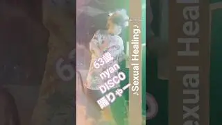 #Sexual Healing #1982 ☆キウイ祭り開催中0107☆ #shorts #disco #ディスコ  #即興 #dance #ダンス