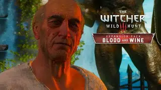УКРАЛИ ГЛАВНОЕ ДОСТОЯНИЕ! - The Witcher 3: Wild Hunt - Blood and Wine #10