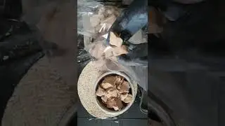 Clay Rocks Snapping Loud #clay #oddlysatisfying #asmr #asmrsounds #asmrvideo #satisfyingclay