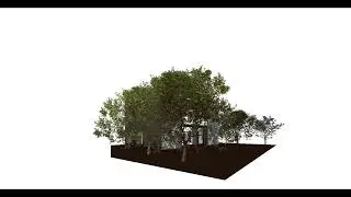 revit walkthrough for beginner