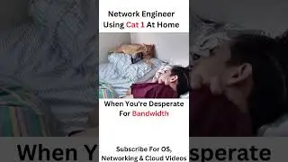 😂😸 Cat-1: Network Engineer's Secret Weapon #Meme #Trending #Shorts | Share this with fellow techies