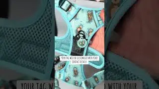 Get a free custom dog ID tag when you order the bundle set #doggear #pupchic #dogharness #dogtags