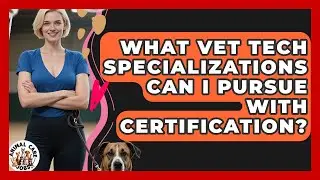 What Vet Tech Specializations Can I Pursue With Certification? - Animal Care Jobs