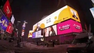Blizzard NYC Stella