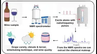 Automated Chemical Profiling of Wine by Solution NMR Spectroscopy