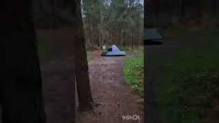 I saw a UFO in the forest #ufo #forest #trees #airbase #secret