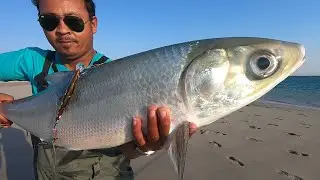 Milk Fish got Foul hooked on Duo Jerk bait 120SP || Himalayan Anglers