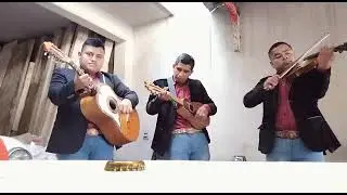 TRIO HUASTECO DE CHALCO $1,900 x 1 HORA CEL 5529601911