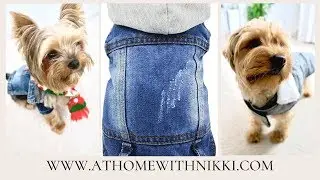 PET FALL & WINTER CLOTHING HAUL | PUPPY FASHION SHOW