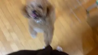 레전드 텐션 ENFP 가나디