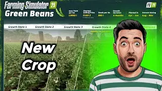 Do you know FS 25 New Crop Green Beans  Farming Simulator 25 ll New Mistry Crop