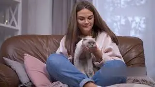 A Heartwarming Cat Rescue Story