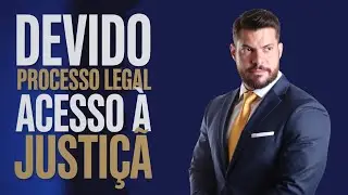 NORMAS e PRINC&Iacute;PIOS processuais! DEVIDO PROCESSO LEGAL e ACESSO &Agrave; JUSTI&Ccedil;A! DIRETO AO PONTO, COMPLETO