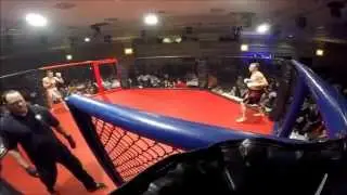 Mmaassault presents: Apex Fight Night IV