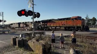 RAILROAD CROSSING + Beach Trains! BNSF Fakebonnet + CN Trains! Last Warm Day Of 2024 - Mukilteo, WA
