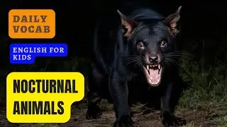 NOCTURNAL ANIMALS FOR KIDS | EDUCATIONAL VIDEO | DAILY VOCABULARY FOR KIDS