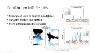 Rowan Olson - MU3C Summer 2021, Beta-Hairpin Folding Using Computational Methods