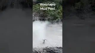 Waiotapu Mud Pool 2023 #rotorua #newzealand #mudpool