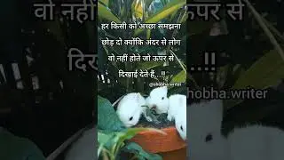#motivationstatus #gulzar #hindikavita #emotion #thoughs #vichar #sadsayri #love #song #zindagi #dil