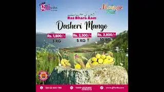 Gift our premium export-quality Dasheri mangoes to your loved ones.