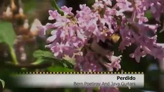 Perdido - Ben Poetiray And Java Guitars