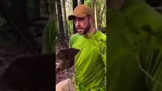 Stealth Fire - Dakota Fire Hole