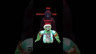 Существуют ли призраки-гориллы??? #gorillatag #ghosts #gtag