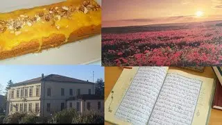 @روتيني اليومي💞 تفاصيل بسيطة من أيامي الهادئة 💞 كيك يومي / طبق الارز الشهي😋💞
