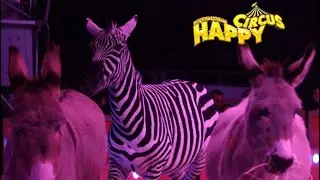 ESOTICO - INTERNAZIONE HAPPY CIRCUS DONNA ORFEI! Circhi_in_Italia
