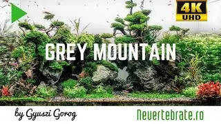 Grey Mountain update by Gyuszi Gorog