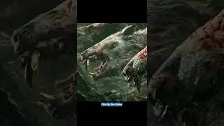 #Kong vs Wolf 😱 | Epic Beast Battle | #Shorts