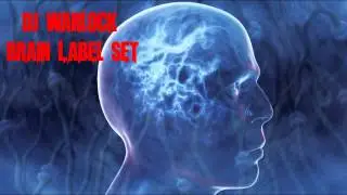 Brain Records Mix Dj Warlock Acid Techno