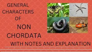 GENERAL CHARACTERS OF NON-CHORDATA|NOTES WITH EXPLANATION|#zoology|#bsc .