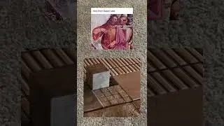 Каковы ваши мысли по этому поводу?