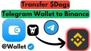 How to Send DOGS from Telegram Wallet to Binance | How to Withdraw DOGS From Telegram Wallet