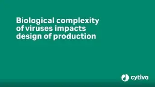 Viral vector production series: Being mindful of biological complexity