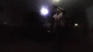 Snake - PAX