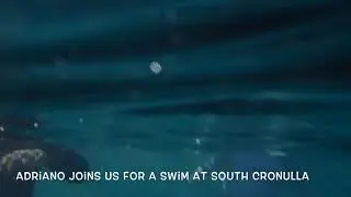 ADRIANO SWIMS WITH THE SHELLY OCEAN SWIMMERS.