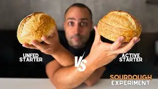 Unfed vs Active Starter (Sourdough Experiment)